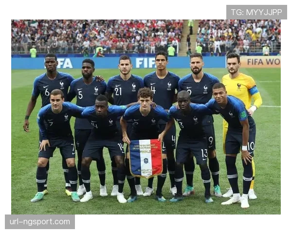 法国职业足球联盟将开会讨论关于防守动作尺度的统一判罚标准